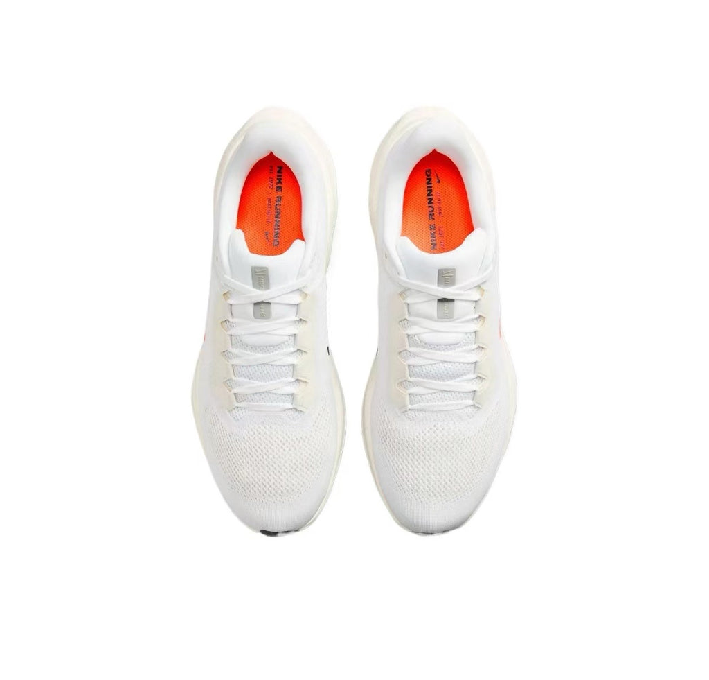 Pegasus 41 - White/Armory