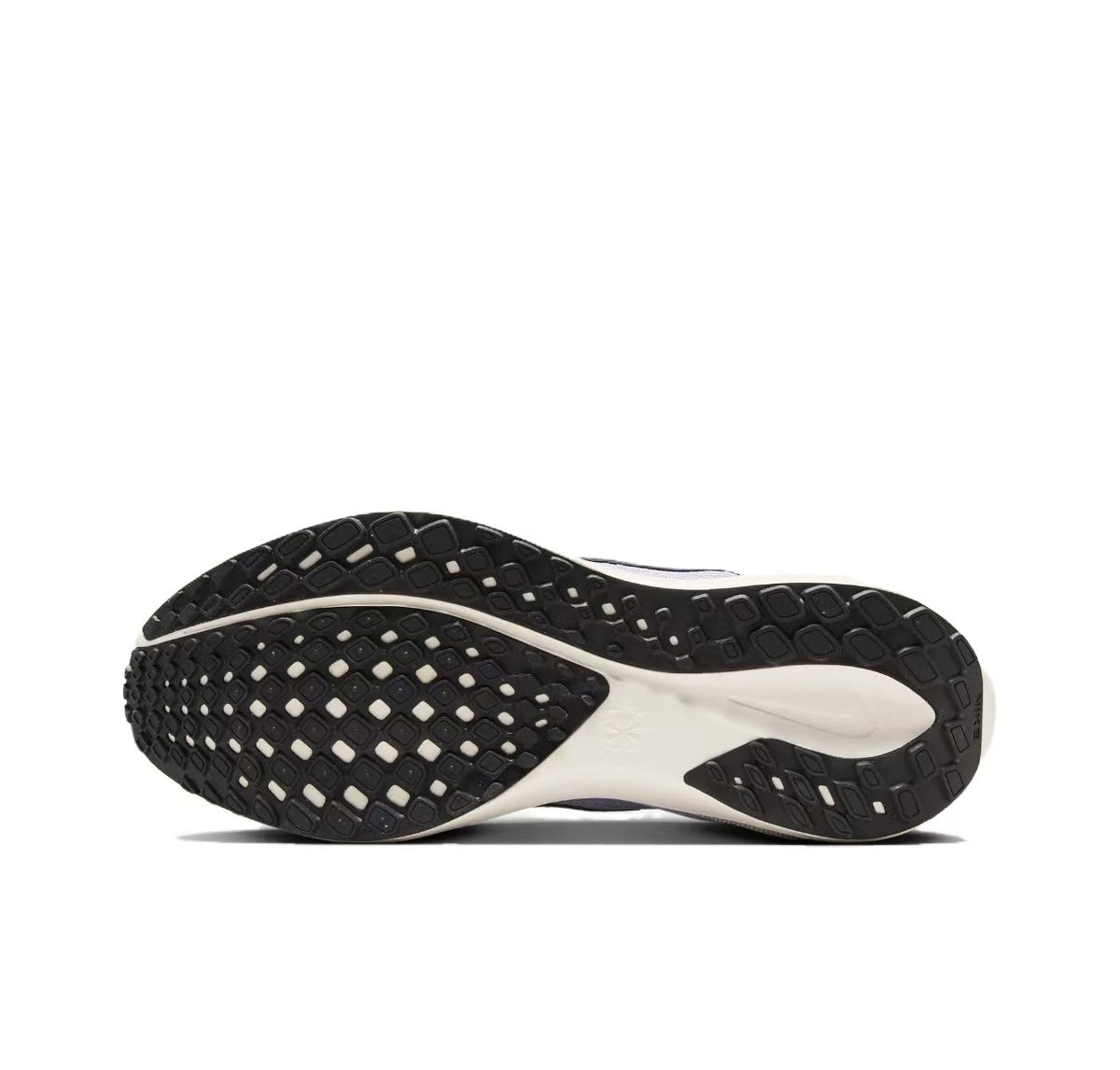 Pegasus 41 - Pure Platnium/Black