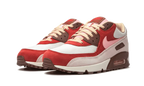 Air Max 90 -  NRG Bacon (2021)