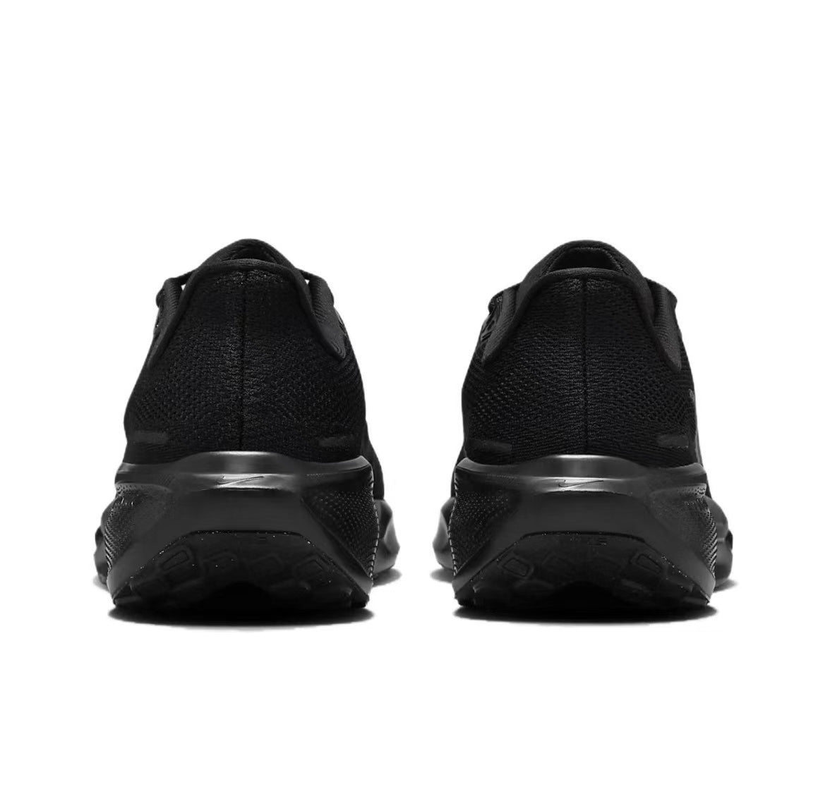 Pegasus 41 - Black/Black