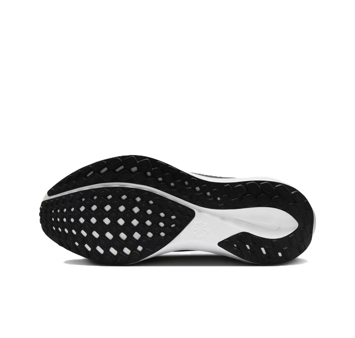 Pegasus 41 - Black/White