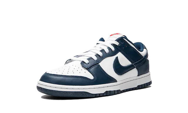 Dunk - Valerian Blue