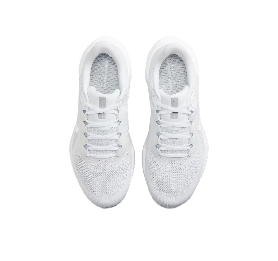 Pegasus 41 - White/White