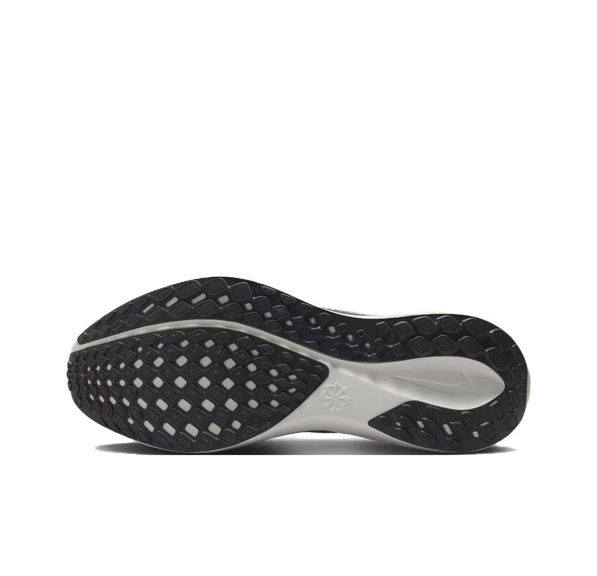 Pegasus 41 - White/Black Metallic