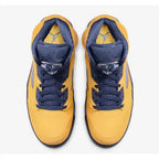 Air Jordan 5 - Michigan