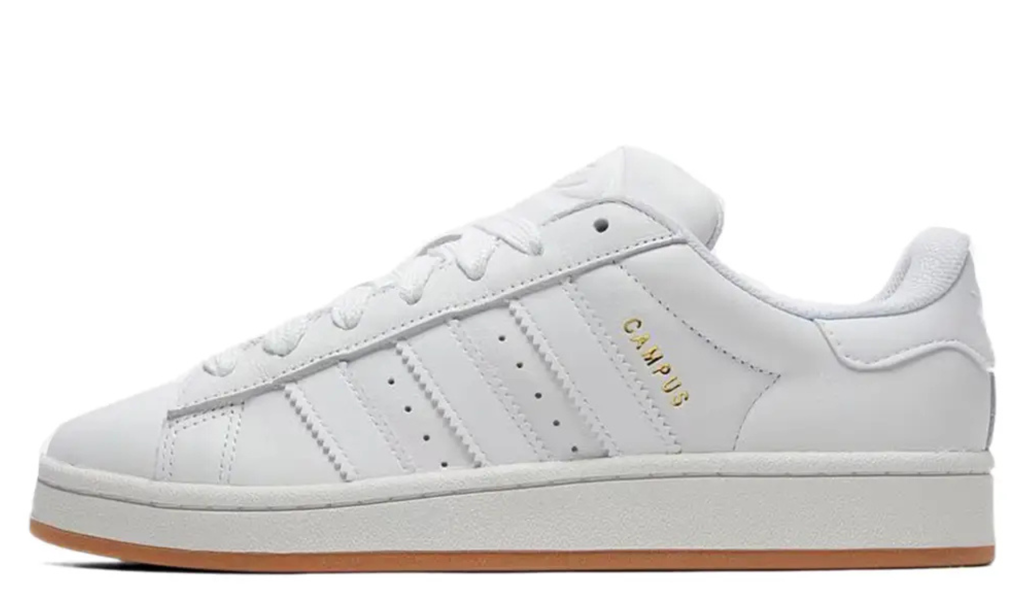 Campus 00 - White Gum