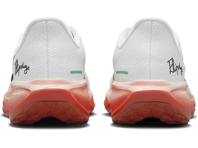 Pegasus 41 - Fleet Feet