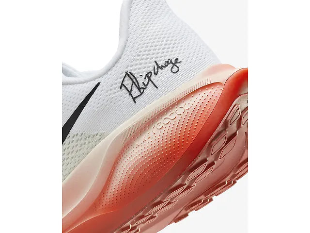 Pegasus 41 - Fleet Feet