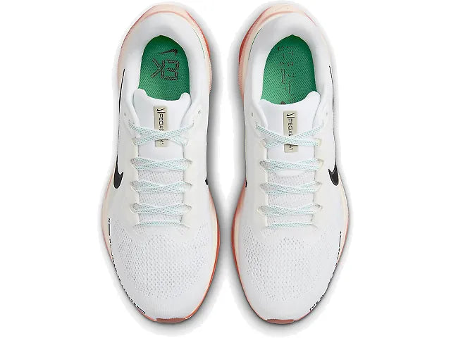Pegasus 41 - Fleet Feet