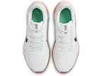 Pegasus 41 - Fleet Feet