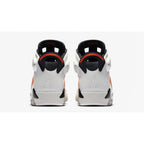 Air Jordan 6 - Gatorade