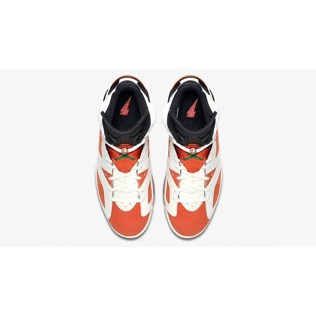 Air Jordan 6 - Gatorade