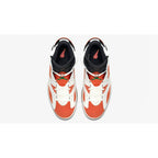 Air Jordan 6 - Gatorade