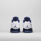 Air Jordan 5 Low - Dunk From Above