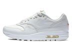 Air Max 1 - Summit White Sail