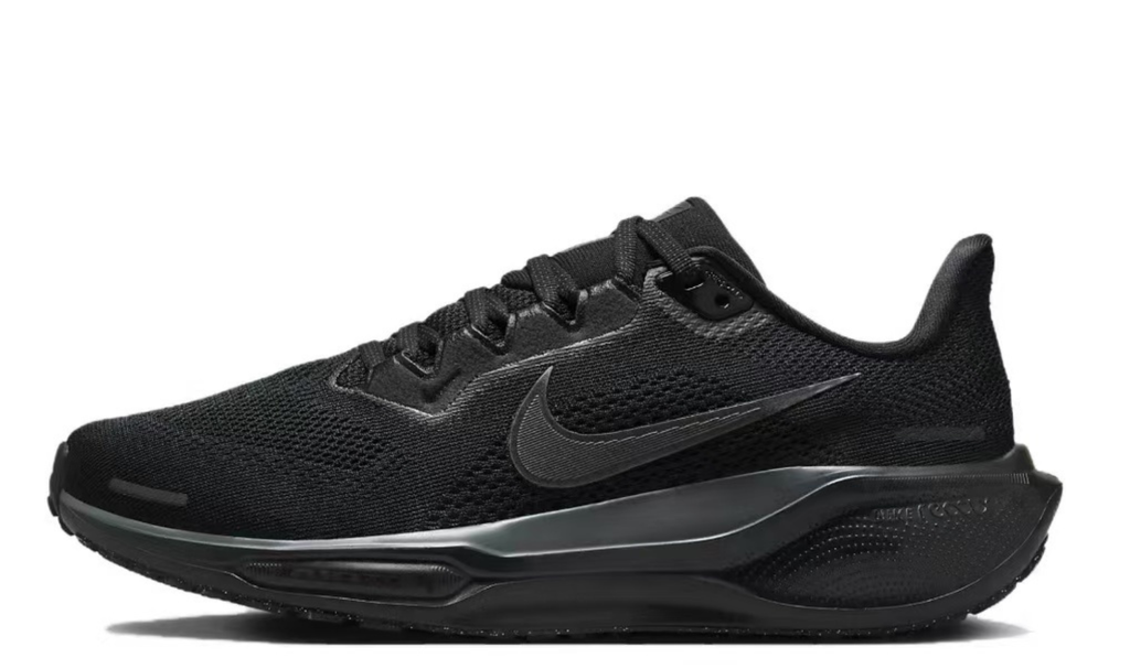 Pegasus 41 - Black/Black