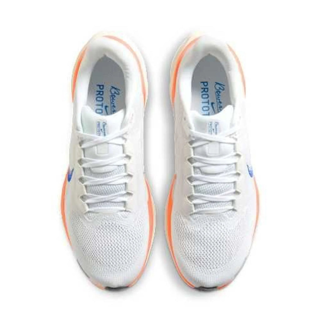 Pegasus 41 - Blueprint/Multicolor