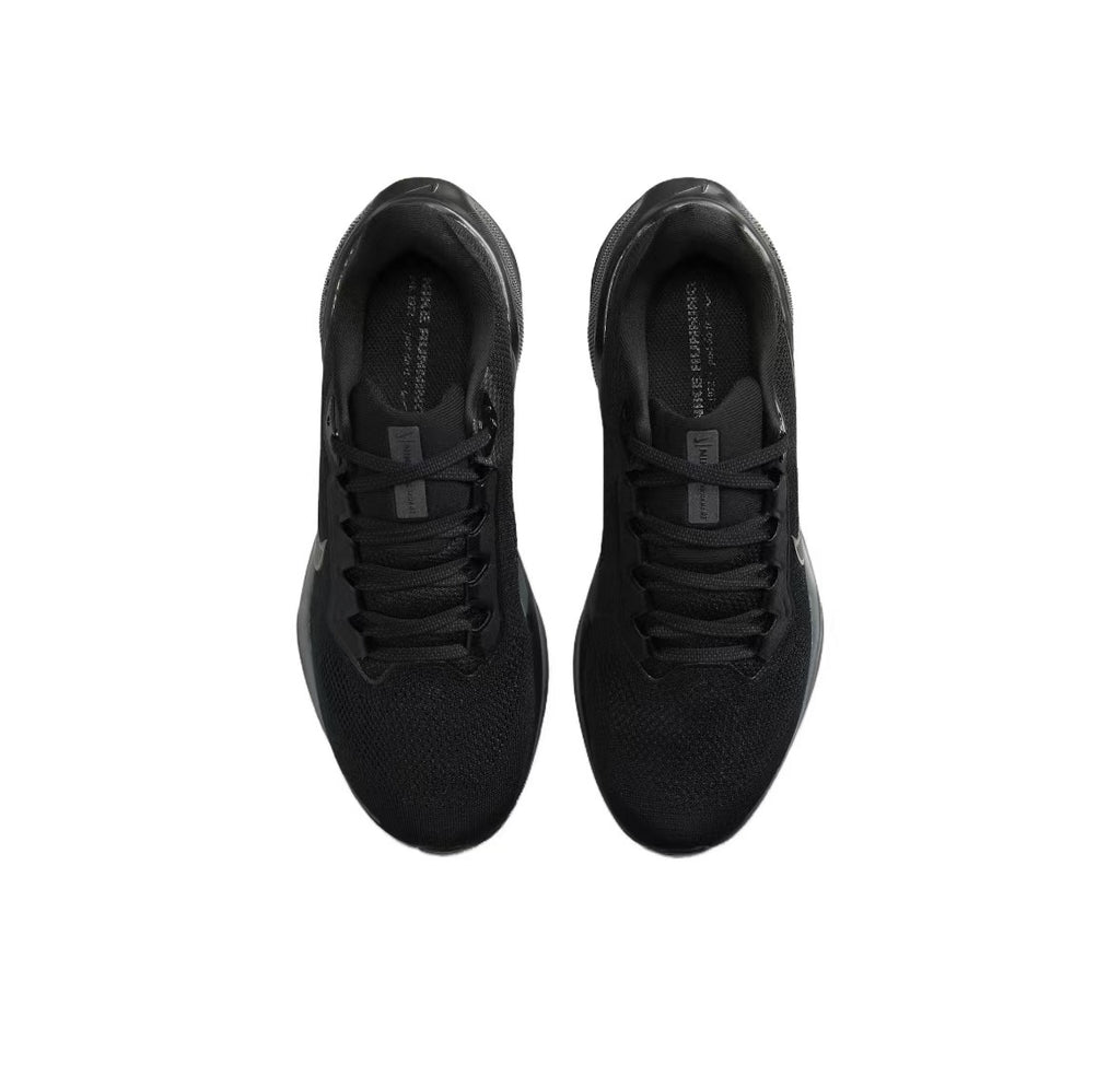 Pegasus 41 - Black/Black