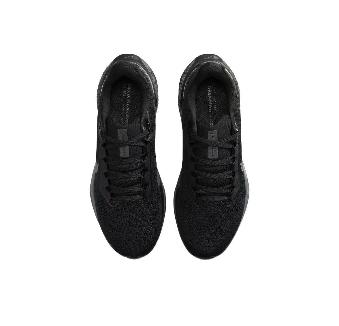 Pegasus 41 - Black/Black
