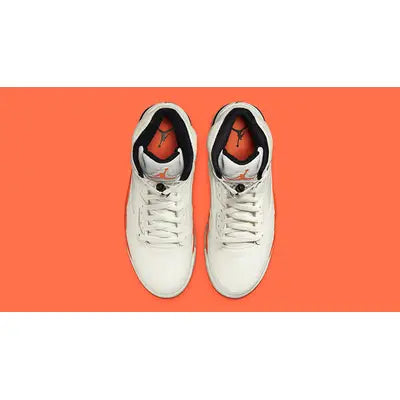 Air Jordan 5 - Shattered Backboard
