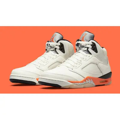 Air Jordan 5 - Shattered Backboard
