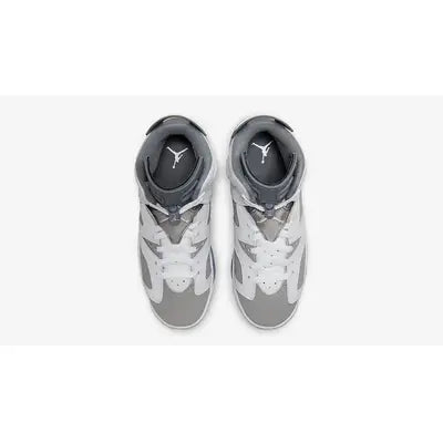 Air Jordan 6 - GS Cool Grey