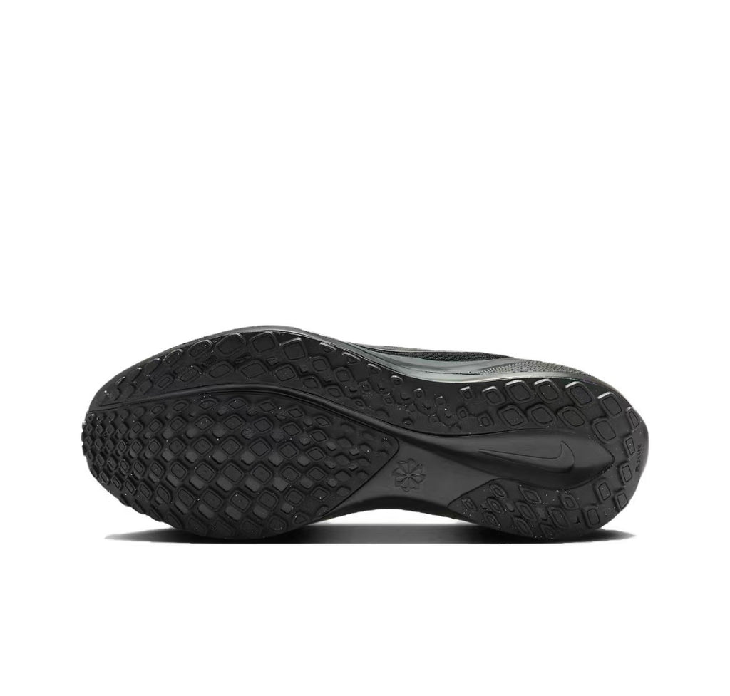 Pegasus 41 - Black/Black