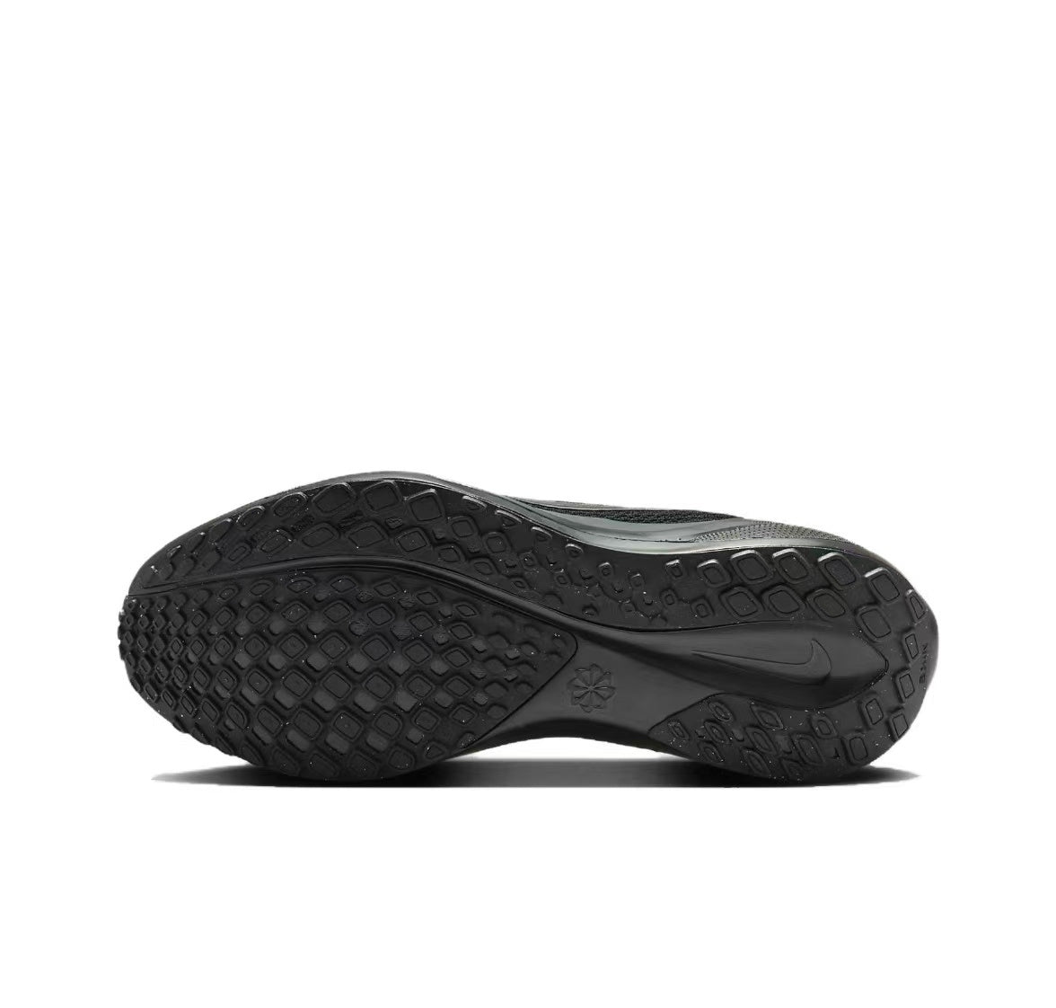 Pegasus 41 - Black/Black