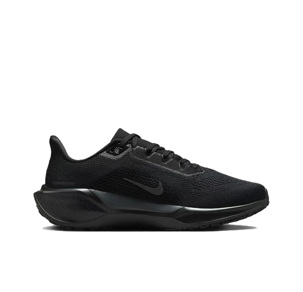 Pegasus 41 - Black/Black